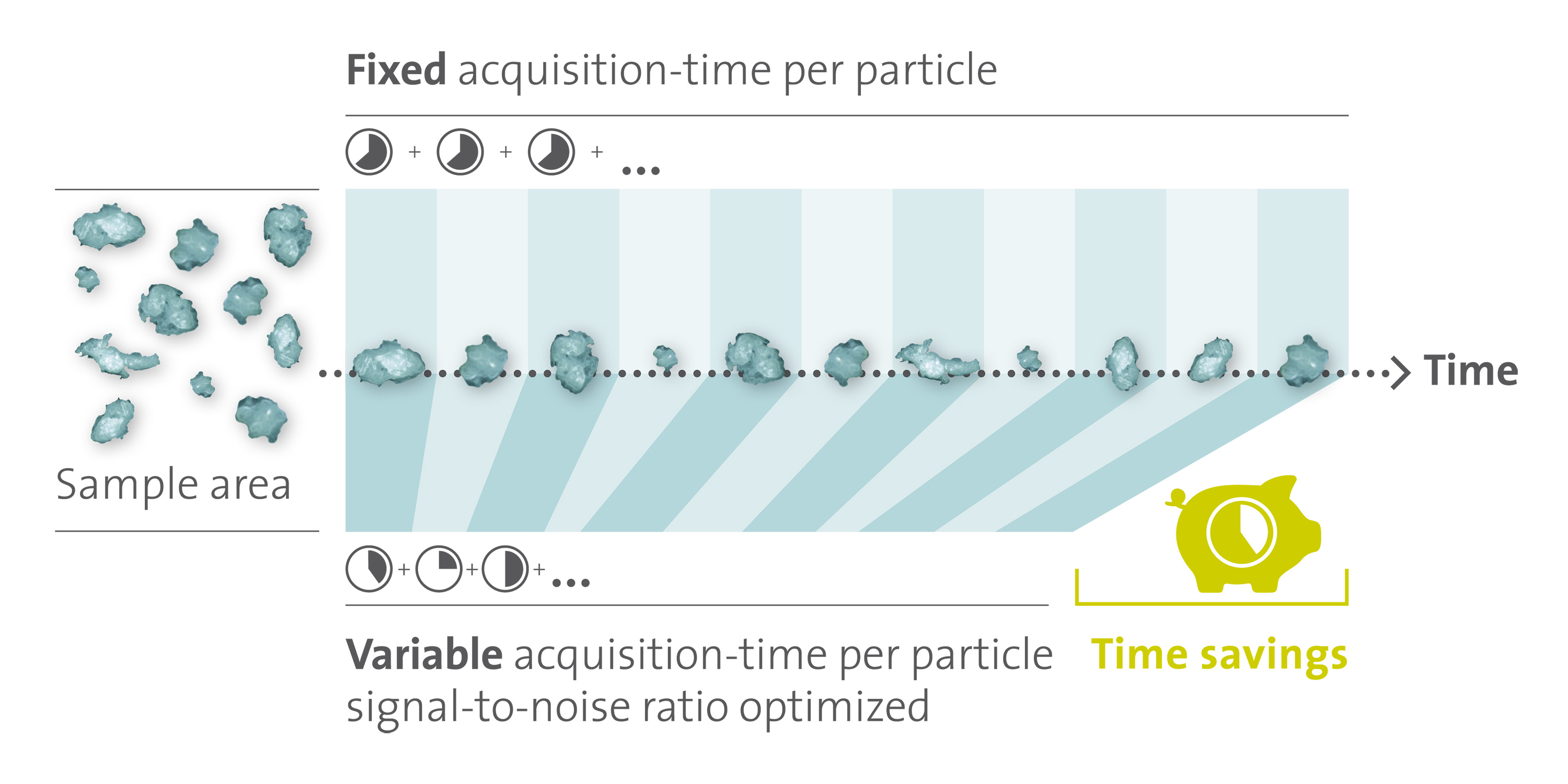 WITec ParticleScout TimeSaving