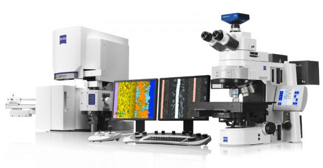 Light Microscopy / SEM