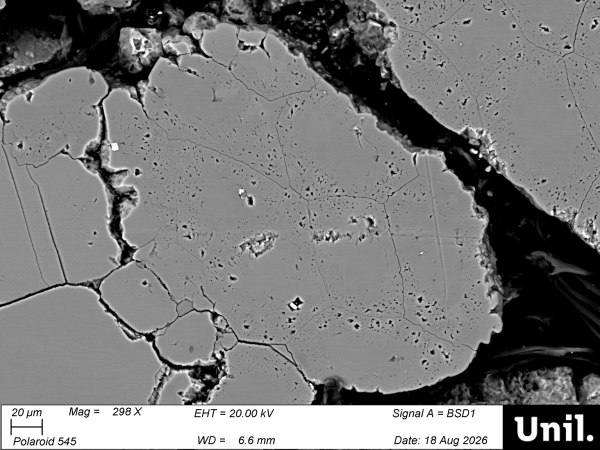 microcodium2 Copy
