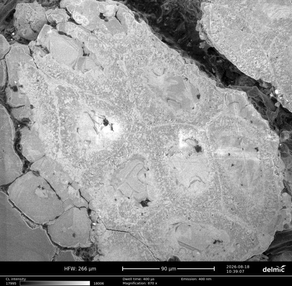 Calcite microcodium 8kV 2nA.ome Copy